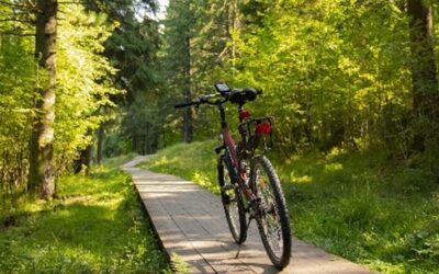 دوره دوچرخه برای بانوان در Mittelfeld