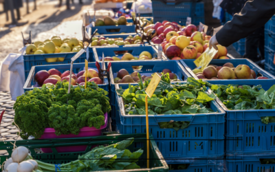 Neuer Wochenmarkt in Mittelfeld – Jetzt mitmachen!